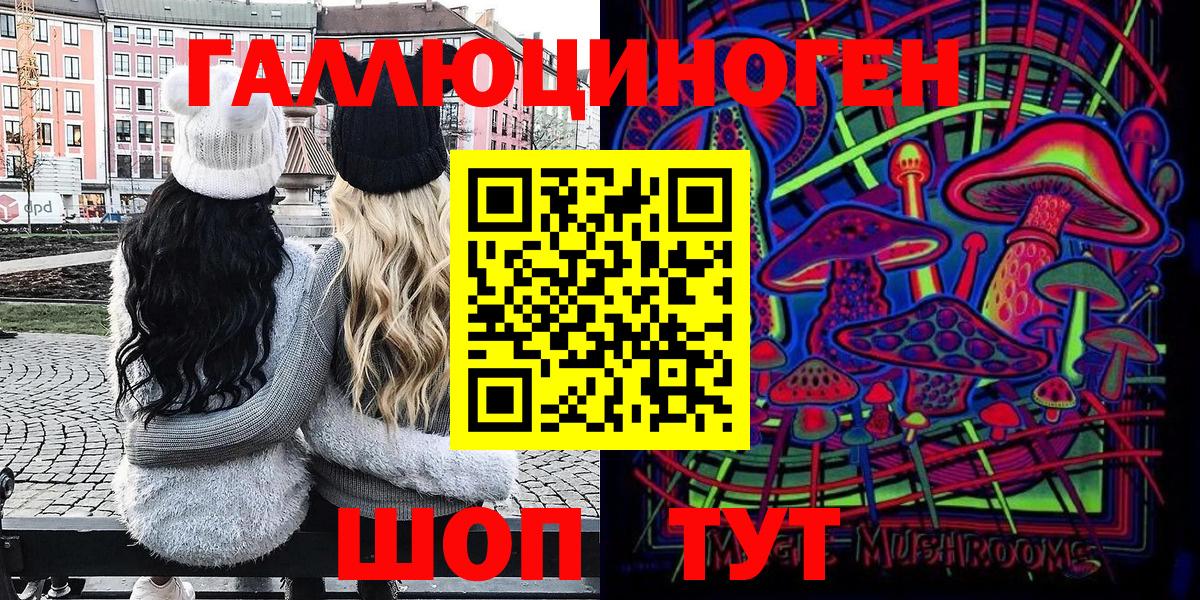 Псилоцибиновые грибы Psilocybe  Вход с VPN  Клинцы 